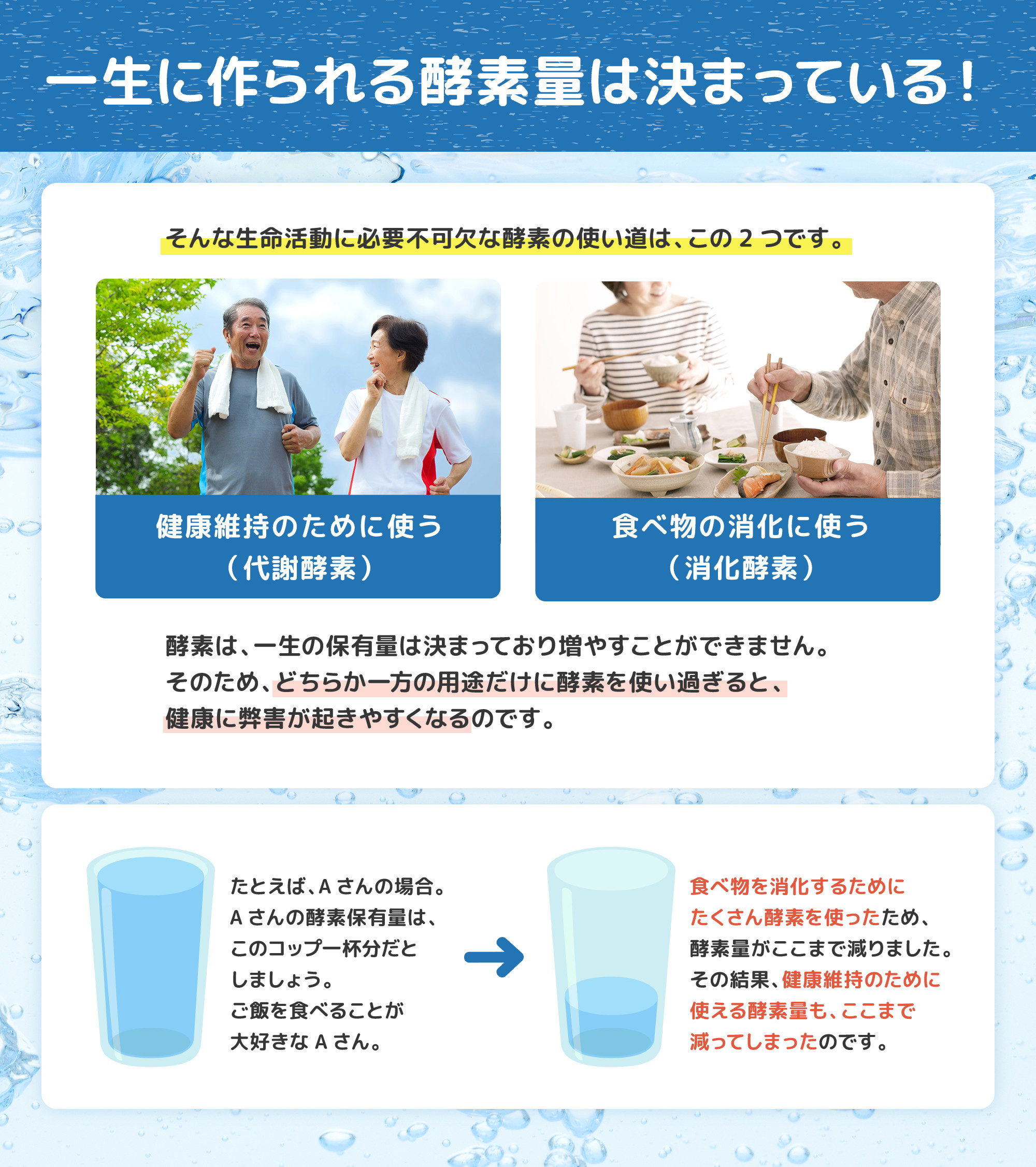 一生で作られる酵素